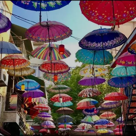 Guzel Daire Istanbul